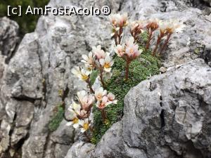[P06]  -- <small>// FĂRĂ DESCRIERE</small> » foto by noi doi
 - 
<span class="allrVoted glyphicon glyphicon-heart hidden" id="av1166007"></span>
<a class="m-l-10 hidden" id="sv1166007" onclick="voting_Foto_DelVot(,1166007,3180)" role="button">șterge vot <span class="glyphicon glyphicon-remove"></span></a>
<a id="v91166007" class=" c-red"  onclick="voting_Foto_SetVot(1166007)" role="button"><span class="glyphicon glyphicon-heart-empty"></span> <b>LIKE</b> = Votează poza</a> <img class="hidden"  id="f1166007W9" src="/imagini/loader.gif" border="0" /><span class="AjErrMes hidden" id="e1166007ErM"></span>