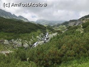 [P33] incep caldarile glaciare » foto by Dan&Ema
 - 
<span class="allrVoted glyphicon glyphicon-heart hidden" id="av1180270"></span>
<a class="m-l-10 hidden" id="sv1180270" onclick="voting_Foto_DelVot(,1180270,3180)" role="button">șterge vot <span class="glyphicon glyphicon-remove"></span></a>
<a id="v91180270" class=" c-red"  onclick="voting_Foto_SetVot(1180270)" role="button"><span class="glyphicon glyphicon-heart-empty"></span> <b>LIKE</b> = Votează poza</a> <img class="hidden"  id="f1180270W9" src="/imagini/loader.gif" border="0" /><span class="AjErrMes hidden" id="e1180270ErM"></span>