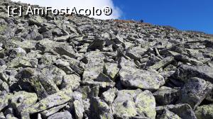 [P11] Retezat, traseu spre Vf. Peleaga 2509m, pe aici am urcat » foto by Dana2008
 - 
<span class="allrVoted glyphicon glyphicon-heart hidden" id="av1107490"></span>
<a class="m-l-10 hidden" id="sv1107490" onclick="voting_Foto_DelVot(,1107490,3180)" role="button">șterge vot <span class="glyphicon glyphicon-remove"></span></a>
<a id="v91107490" class=" c-red"  onclick="voting_Foto_SetVot(1107490)" role="button"><span class="glyphicon glyphicon-heart-empty"></span> <b>LIKE</b> = Votează poza</a> <img class="hidden"  id="f1107490W9" src="/imagini/loader.gif" border="0" /><span class="AjErrMes hidden" id="e1107490ErM"></span>
