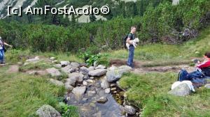 [P04] Cu cățel și cu fără purcel sus la munte spre Lacul Bucura (zona situată în partea de sus a pădurii de jepi)  » foto by Lucien
 - 
<span class="allrVoted glyphicon glyphicon-heart hidden" id="av837418"></span>
<a class="m-l-10 hidden" id="sv837418" onclick="voting_Foto_DelVot(,837418,3180)" role="button">șterge vot <span class="glyphicon glyphicon-remove"></span></a>
<a id="v9837418" class=" c-red"  onclick="voting_Foto_SetVot(837418)" role="button"><span class="glyphicon glyphicon-heart-empty"></span> <b>LIKE</b> = Votează poza</a> <img class="hidden"  id="f837418W9" src="/imagini/loader.gif" border="0" /><span class="AjErrMes hidden" id="e837418ErM"></span>