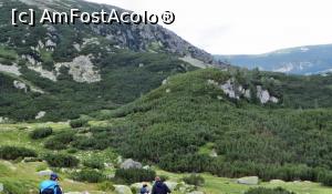 [P06] Vedere asupra pădurii de jepi. Undeva jos în vale este Poiana Pelegii » foto by Lucien
 - 
<span class="allrVoted glyphicon glyphicon-heart hidden" id="av837421"></span>
<a class="m-l-10 hidden" id="sv837421" onclick="voting_Foto_DelVot(,837421,3180)" role="button">șterge vot <span class="glyphicon glyphicon-remove"></span></a>
<a id="v9837421" class=" c-red"  onclick="voting_Foto_SetVot(837421)" role="button"><span class="glyphicon glyphicon-heart-empty"></span> <b>LIKE</b> = Votează poza</a> <img class="hidden"  id="f837421W9" src="/imagini/loader.gif" border="0" /><span class="AjErrMes hidden" id="e837421ErM"></span>