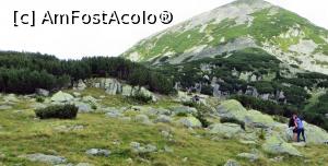[P08] Petice de pădure de jepi înainte de golul alpin.  » foto by Lucien
 - 
<span class="allrVoted glyphicon glyphicon-heart hidden" id="av837424"></span>
<a class="m-l-10 hidden" id="sv837424" onclick="voting_Foto_DelVot(,837424,3180)" role="button">șterge vot <span class="glyphicon glyphicon-remove"></span></a>
<a id="v9837424" class=" c-red"  onclick="voting_Foto_SetVot(837424)" role="button"><span class="glyphicon glyphicon-heart-empty"></span> <b>LIKE</b> = Votează poza</a> <img class="hidden"  id="f837424W9" src="/imagini/loader.gif" border="0" /><span class="AjErrMes hidden" id="e837424ErM"></span>