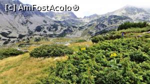 [P09] În centrul imaginii se vede o porțiune din Lacul Lia alimentat cu apa care iese din Lacul Bucura » foto by Lucien
 - 
<span class="allrVoted glyphicon glyphicon-heart hidden" id="av837426"></span>
<a class="m-l-10 hidden" id="sv837426" onclick="voting_Foto_DelVot(,837426,3180)" role="button">șterge vot <span class="glyphicon glyphicon-remove"></span></a>
<a id="v9837426" class=" c-red"  onclick="voting_Foto_SetVot(837426)" role="button"><span class="glyphicon glyphicon-heart-empty"></span> <b>LIKE</b> = Votează poza</a> <img class="hidden"  id="f837426W9" src="/imagini/loader.gif" border="0" /><span class="AjErrMes hidden" id="e837426ErM"></span>