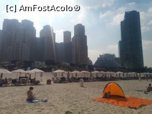 [P23] plaja din zona Dubai Marina. Lata, eleganta, dotata si mai ales cu o intrare lina in apa » foto by roth
 - 
<span class="allrVoted glyphicon glyphicon-heart hidden" id="av823103"></span>
<a class="m-l-10 hidden" id="sv823103" onclick="voting_Foto_DelVot(,823103,3199)" role="button">șterge vot <span class="glyphicon glyphicon-remove"></span></a>
<a id="v9823103" class=" c-red"  onclick="voting_Foto_SetVot(823103)" role="button"><span class="glyphicon glyphicon-heart-empty"></span> <b>LIKE</b> = Votează poza</a> <img class="hidden"  id="f823103W9" src="/imagini/loader.gif" border="0" /><span class="AjErrMes hidden" id="e823103ErM"></span>