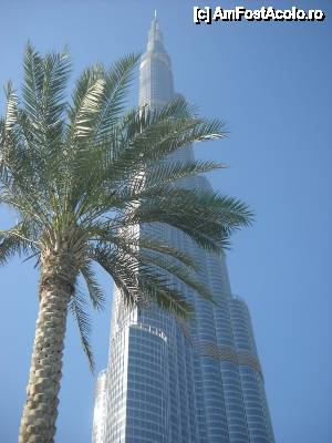 [P05] Burj Khalifa, varful » foto by cryss27
 - 
<span class="allrVoted glyphicon glyphicon-heart hidden" id="av408775"></span>
<a class="m-l-10 hidden" id="sv408775" onclick="voting_Foto_DelVot(,408775,3199)" role="button">șterge vot <span class="glyphicon glyphicon-remove"></span></a>
<a id="v9408775" class=" c-red"  onclick="voting_Foto_SetVot(408775)" role="button"><span class="glyphicon glyphicon-heart-empty"></span> <b>LIKE</b> = Votează poza</a> <img class="hidden"  id="f408775W9" src="/imagini/loader.gif" border="0" /><span class="AjErrMes hidden" id="e408775ErM"></span>