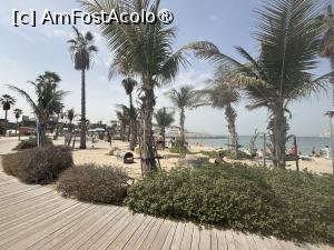 [P12] Le Mer Beach,Dubai » foto by AZE
 - 
<span class="allrVoted glyphicon glyphicon-heart hidden" id="av1493842"></span>
<a class="m-l-10 hidden" id="sv1493842" onclick="voting_Foto_DelVot(,1493842,3199)" role="button">șterge vot <span class="glyphicon glyphicon-remove"></span></a>
<a id="v91493842" class=" c-red"  onclick="voting_Foto_SetVot(1493842)" role="button"><span class="glyphicon glyphicon-heart-empty"></span> <b>LIKE</b> = Votează poza</a> <img class="hidden"  id="f1493842W9" src="/imagini/loader.gif" border="0" /><span class="AjErrMes hidden" id="e1493842ErM"></span>