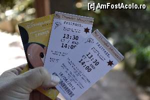 [P09] In stanga biletele (capsate cu o gaurica, la intrare), in dreapta FastPass-urile. Am putut merge la Big Thunder Mountain intre 13,30-14, iar urmatorul FP am fi putut sa-l luam dupa ora 13, scrie deasupra datei. Deci puteam sa-l luam INAINTE sa executam FP din poza.  » foto by MCM
 - 
<span class="allrVoted glyphicon glyphicon-heart hidden" id="av369567"></span>
<a class="m-l-10 hidden" id="sv369567" onclick="voting_Foto_DelVot(,369567,3203)" role="button">șterge vot <span class="glyphicon glyphicon-remove"></span></a>
<a id="v9369567" class=" c-red"  onclick="voting_Foto_SetVot(369567)" role="button"><span class="glyphicon glyphicon-heart-empty"></span> <b>LIKE</b> = Votează poza</a> <img class="hidden"  id="f369567W9" src="/imagini/loader.gif" border="0" /><span class="AjErrMes hidden" id="e369567ErM"></span>