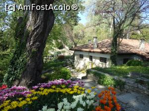 [P12] flori colorate in gradina reginei » foto by buterfly*
 - 
<span class="allrVoted glyphicon glyphicon-heart hidden" id="av866110"></span>
<a class="m-l-10 hidden" id="sv866110" onclick="voting_Foto_DelVot(,866110,3210)" role="button">șterge vot <span class="glyphicon glyphicon-remove"></span></a>
<a id="v9866110" class=" c-red"  onclick="voting_Foto_SetVot(866110)" role="button"><span class="glyphicon glyphicon-heart-empty"></span> <b>LIKE</b> = Votează poza</a> <img class="hidden"  id="f866110W9" src="/imagini/loader.gif" border="0" /><span class="AjErrMes hidden" id="e866110ErM"></span>