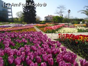 [P02] luna lalelelor in gradina botanica » foto by buterfly*
 - 
<span class="allrVoted glyphicon glyphicon-heart hidden" id="av866100"></span>
<a class="m-l-10 hidden" id="sv866100" onclick="voting_Foto_DelVot(,866100,3210)" role="button">șterge vot <span class="glyphicon glyphicon-remove"></span></a>
<a id="v9866100" class=" c-red"  onclick="voting_Foto_SetVot(866100)" role="button"><span class="glyphicon glyphicon-heart-empty"></span> <b>LIKE</b> = Votează poza</a> <img class="hidden"  id="f866100W9" src="/imagini/loader.gif" border="0" /><span class="AjErrMes hidden" id="e866100ErM"></span>