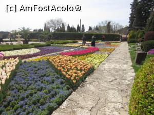 [P10] Segmente florale de aprilie în Grădina Botanică » foto by Michi
 - 
<span class="allrVoted glyphicon glyphicon-heart hidden" id="av1363932"></span>
<a class="m-l-10 hidden" id="sv1363932" onclick="voting_Foto_DelVot(,1363932,3210)" role="button">șterge vot <span class="glyphicon glyphicon-remove"></span></a>
<a id="v91363932" class=" c-red"  onclick="voting_Foto_SetVot(1363932)" role="button"><span class="glyphicon glyphicon-heart-empty"></span> <b>LIKE</b> = Votează poza</a> <img class="hidden"  id="f1363932W9" src="/imagini/loader.gif" border="0" /><span class="AjErrMes hidden" id="e1363932ErM"></span>