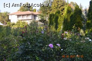 [P10] Gradina Botanica din Balcic - trandafiri » foto by relu mihai
 - 
<span class="allrVoted glyphicon glyphicon-heart hidden" id="av901110"></span>
<a class="m-l-10 hidden" id="sv901110" onclick="voting_Foto_DelVot(,901110,3210)" role="button">șterge vot <span class="glyphicon glyphicon-remove"></span></a>
<a id="v9901110" class=" c-red"  onclick="voting_Foto_SetVot(901110)" role="button"><span class="glyphicon glyphicon-heart-empty"></span> <b>LIKE</b> = Votează poza</a> <img class="hidden"  id="f901110W9" src="/imagini/loader.gif" border="0" /><span class="AjErrMes hidden" id="e901110ErM"></span>