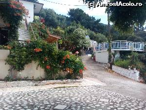 [P29] Imagine de ansamblu cu piscină și corpul în care se află cameră mea. Instantaneu realizat de lângă copacul de pe terasă.  » foto by ovidiuyepi
 - 
<span class="allrVoted glyphicon glyphicon-heart hidden" id="av635005"></span>
<a class="m-l-10 hidden" id="sv635005" onclick="voting_Foto_DelVot(,635005,3216)" role="button">șterge vot <span class="glyphicon glyphicon-remove"></span></a>
<a id="v9635005" class=" c-red"  onclick="voting_Foto_SetVot(635005)" role="button"><span class="glyphicon glyphicon-heart-empty"></span> <b>LIKE</b> = Votează poza</a> <img class="hidden"  id="f635005W9" src="/imagini/loader.gif" border="0" /><span class="AjErrMes hidden" id="e635005ErM"></span>
