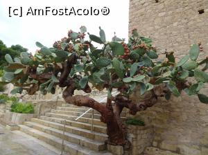 P03 [SEP-2019] Castillo de Santa Bárbara – prin curtea Castelului