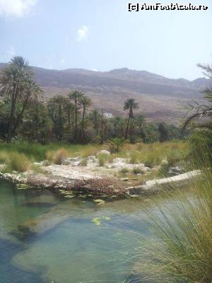 [P11] Wadi Bani Khalid » foto by Mirna
 - 
<span class="allrVoted glyphicon glyphicon-heart hidden" id="av624581"></span>
<a class="m-l-10 hidden" id="sv624581" onclick="voting_Foto_DelVot(,624581,3254)" role="button">șterge vot <span class="glyphicon glyphicon-remove"></span></a>
<a id="v9624581" class=" c-red"  onclick="voting_Foto_SetVot(624581)" role="button"><span class="glyphicon glyphicon-heart-empty"></span> <b>LIKE</b> = Votează poza</a> <img class="hidden"  id="f624581W9" src="/imagini/loader.gif" border="0" /><span class="AjErrMes hidden" id="e624581ErM"></span>