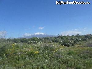 [P17] se zareste Etna in toata splendoarea » foto by amero
 - 
<span class="allrVoted glyphicon glyphicon-heart hidden" id="av624774"></span>
<a class="m-l-10 hidden" id="sv624774" onclick="voting_Foto_DelVot(,624774,3281)" role="button">șterge vot <span class="glyphicon glyphicon-remove"></span></a>
<a id="v9624774" class=" c-red"  onclick="voting_Foto_SetVot(624774)" role="button"><span class="glyphicon glyphicon-heart-empty"></span> <b>LIKE</b> = Votează poza</a> <img class="hidden"  id="f624774W9" src="/imagini/loader.gif" border="0" /><span class="AjErrMes hidden" id="e624774ErM"></span>