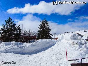 [P04] 'Vara'pe Etna, cu zapada... langa Rifugio Sappienza » foto by GabrielaG
 - 
<span class="allrVoted glyphicon glyphicon-heart hidden" id="av604467"></span>
<a class="m-l-10 hidden" id="sv604467" onclick="voting_Foto_DelVot(,604467,3281)" role="button">șterge vot <span class="glyphicon glyphicon-remove"></span></a>
<a id="v9604467" class=" c-red"  onclick="voting_Foto_SetVot(604467)" role="button"><span class="glyphicon glyphicon-heart-empty"></span> <b>LIKE</b> = Votează poza</a> <img class="hidden"  id="f604467W9" src="/imagini/loader.gif" border="0" /><span class="AjErrMes hidden" id="e604467ErM"></span>