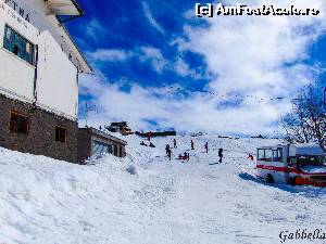 [P05] 'Vara'pe Etna, cu zapada... langa Rifugio Sappienza » foto by GabrielaG
 - 
<span class="allrVoted glyphicon glyphicon-heart hidden" id="av604468"></span>
<a class="m-l-10 hidden" id="sv604468" onclick="voting_Foto_DelVot(,604468,3281)" role="button">șterge vot <span class="glyphicon glyphicon-remove"></span></a>
<a id="v9604468" class=" c-red"  onclick="voting_Foto_SetVot(604468)" role="button"><span class="glyphicon glyphicon-heart-empty"></span> <b>LIKE</b> = Votează poza</a> <img class="hidden"  id="f604468W9" src="/imagini/loader.gif" border="0" /><span class="AjErrMes hidden" id="e604468ErM"></span>