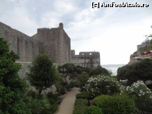 [P24] Gradina de langa cea mai importanta poarta!  » foto by Marian Preda
 - 
<span class="allrVoted glyphicon glyphicon-heart hidden" id="av578819"></span>
<a class="m-l-10 hidden" id="sv578819" onclick="voting_Foto_DelVot(,578819,3304)" role="button">șterge vot <span class="glyphicon glyphicon-remove"></span></a>
<a id="v9578819" class=" c-red"  onclick="voting_Foto_SetVot(578819)" role="button"><span class="glyphicon glyphicon-heart-empty"></span> <b>LIKE</b> = Votează poza</a> <img class="hidden"  id="f578819W9" src="/imagini/loader.gif" border="0" /><span class="AjErrMes hidden" id="e578819ErM"></span>