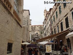 [P50]  -- <small>// FĂRĂ DESCRIERE</small> » foto by Marian Preda
 - 
<span class="allrVoted glyphicon glyphicon-heart hidden" id="av578845"></span>
<a class="m-l-10 hidden" id="sv578845" onclick="voting_Foto_DelVot(,578845,3304)" role="button">șterge vot <span class="glyphicon glyphicon-remove"></span></a>
<a id="v9578845" class=" c-red"  onclick="voting_Foto_SetVot(578845)" role="button"><span class="glyphicon glyphicon-heart-empty"></span> <b>LIKE</b> = Votează poza</a> <img class="hidden"  id="f578845W9" src="/imagini/loader.gif" border="0" /><span class="AjErrMes hidden" id="e578845ErM"></span>