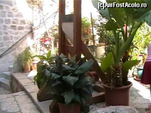 [P24]  -- <small>// FĂRĂ DESCRIERE</small> » foto by odi_io
 - 
<span class="allrVoted glyphicon glyphicon-heart hidden" id="av666131"></span>
<a class="m-l-10 hidden" id="sv666131" onclick="voting_Foto_DelVot(,666131,3304)" role="button">șterge vot <span class="glyphicon glyphicon-remove"></span></a>
<a id="v9666131" class=" c-red"  onclick="voting_Foto_SetVot(666131)" role="button"><span class="glyphicon glyphicon-heart-empty"></span> <b>LIKE</b> = Votează poza</a> <img class="hidden"  id="f666131W9" src="/imagini/loader.gif" border="0" /><span class="AjErrMes hidden" id="e666131ErM"></span>