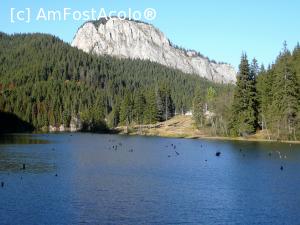 P01 [OCT-2014] Lacul şi vărful Suhardul Mic