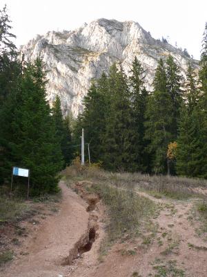 [P15] De la fosta cabana, începem să urcăm spre baza Suhardului Mic » foto by Claudiu U.
 - 
<span class="allrVoted glyphicon glyphicon-heart hidden" id="av706938"></span>
<a class="m-l-10 hidden" id="sv706938" onclick="voting_Foto_DelVot(,706938,3314)" role="button">șterge vot <span class="glyphicon glyphicon-remove"></span></a>
<a id="v9706938" class=" c-red"  onclick="voting_Foto_SetVot(706938)" role="button"><span class="glyphicon glyphicon-heart-empty"></span> <b>LIKE</b> = Votează poza</a> <img class="hidden"  id="f706938W9" src="/imagini/loader.gif" border="0" /><span class="AjErrMes hidden" id="e706938ErM"></span>