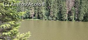 [P15] Lacul Rosu - Plimbare in jurul lacului. » foto by iulianic
 - 
<span class="allrVoted glyphicon glyphicon-heart hidden" id="av1538296"></span>
<a class="m-l-10 hidden" id="sv1538296" onclick="voting_Foto_DelVot(,1538296,3314)" role="button">șterge vot <span class="glyphicon glyphicon-remove"></span></a>
<a id="v91538296" class=" c-red"  onclick="voting_Foto_SetVot(1538296)" role="button"><span class="glyphicon glyphicon-heart-empty"></span> <b>LIKE</b> = Votează poza</a> <img class="hidden"  id="f1538296W9" src="/imagini/loader.gif" border="0" /><span class="AjErrMes hidden" id="e1538296ErM"></span>