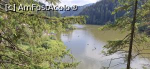 [P03] Lacul Rosu - Plimbare in jurul lacului. » foto by iulianic
 - 
<span class="allrVoted glyphicon glyphicon-heart hidden" id="av1538284"></span>
<a class="m-l-10 hidden" id="sv1538284" onclick="voting_Foto_DelVot(,1538284,3314)" role="button">șterge vot <span class="glyphicon glyphicon-remove"></span></a>
<a id="v91538284" class=" c-red"  onclick="voting_Foto_SetVot(1538284)" role="button"><span class="glyphicon glyphicon-heart-empty"></span> <b>LIKE</b> = Votează poza</a> <img class="hidden"  id="f1538284W9" src="/imagini/loader.gif" border="0" /><span class="AjErrMes hidden" id="e1538284ErM"></span>