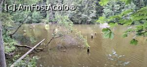 [P06] Lacul Rosu - Plimbare in jurul lacului. » foto by iulianic
 - 
<span class="allrVoted glyphicon glyphicon-heart hidden" id="av1538287"></span>
<a class="m-l-10 hidden" id="sv1538287" onclick="voting_Foto_DelVot(,1538287,3314)" role="button">șterge vot <span class="glyphicon glyphicon-remove"></span></a>
<a id="v91538287" class=" c-red"  onclick="voting_Foto_SetVot(1538287)" role="button"><span class="glyphicon glyphicon-heart-empty"></span> <b>LIKE</b> = Votează poza</a> <img class="hidden"  id="f1538287W9" src="/imagini/loader.gif" border="0" /><span class="AjErrMes hidden" id="e1538287ErM"></span>