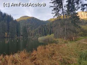 [P26] Lacul Roșu – Poteca Minunilor cu 9 puncte de observare, din Parcul Național Cheile Bicazului - Hășmaș » foto by Dana2008
 - 
<span class="allrVoted glyphicon glyphicon-heart hidden" id="av1201147"></span>
<a class="m-l-10 hidden" id="sv1201147" onclick="voting_Foto_DelVot(,1201147,3314)" role="button">șterge vot <span class="glyphicon glyphicon-remove"></span></a>
<a id="v91201147" class=" c-red"  onclick="voting_Foto_SetVot(1201147)" role="button"><span class="glyphicon glyphicon-heart-empty"></span> <b>LIKE</b> = Votează poza</a> <img class="hidden"  id="f1201147W9" src="/imagini/loader.gif" border="0" /><span class="AjErrMes hidden" id="e1201147ErM"></span>
