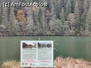 [P28] Lacul Roșu – Poteca Minunilor cu 9 puncte de observare, din Parcul Național Cheile Bicazului - Hășmaș » foto by Dana2008
 - 
<span class="allrVoted glyphicon glyphicon-heart hidden" id="av1201149"></span>
<a class="m-l-10 hidden" id="sv1201149" onclick="voting_Foto_DelVot(,1201149,3314)" role="button">șterge vot <span class="glyphicon glyphicon-remove"></span></a>
<a id="v91201149" class=" c-red"  onclick="voting_Foto_SetVot(1201149)" role="button"><span class="glyphicon glyphicon-heart-empty"></span> <b>LIKE</b> = Votează poza</a> <img class="hidden"  id="f1201149W9" src="/imagini/loader.gif" border="0" /><span class="AjErrMes hidden" id="e1201149ErM"></span>