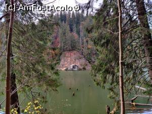 [P30] Lacul Roșu – Poteca Minunilor cu 9 puncte de observare, din Parcul Național Cheile Bicazului - Hășmaș

balconul de piatra, punct de belvedere » foto by Dana2008
 - 
<span class="allrVoted glyphicon glyphicon-heart hidden" id="av1201151"></span>
<a class="m-l-10 hidden" id="sv1201151" onclick="voting_Foto_DelVot(,1201151,3314)" role="button">șterge vot <span class="glyphicon glyphicon-remove"></span></a>
<a id="v91201151" class=" c-red"  onclick="voting_Foto_SetVot(1201151)" role="button"><span class="glyphicon glyphicon-heart-empty"></span> <b>LIKE</b> = Votează poza</a> <img class="hidden"  id="f1201151W9" src="/imagini/loader.gif" border="0" /><span class="AjErrMes hidden" id="e1201151ErM"></span>