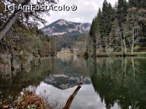 [P41] Lacul Roșu – Poteca Minunilor cu 9 puncte de observare, din Parcul Național Cheile Bicazului - Hășmaș

Muntele Gylkos » foto by Dana2008
 - 
<span class="allrVoted glyphicon glyphicon-heart hidden" id="av1201162"></span>
<a class="m-l-10 hidden" id="sv1201162" onclick="voting_Foto_DelVot(,1201162,3314)" role="button">șterge vot <span class="glyphicon glyphicon-remove"></span></a>
<a id="v91201162" class=" c-red"  onclick="voting_Foto_SetVot(1201162)" role="button"><span class="glyphicon glyphicon-heart-empty"></span> <b>LIKE</b> = Votează poza</a> <img class="hidden"  id="f1201162W9" src="/imagini/loader.gif" border="0" /><span class="AjErrMes hidden" id="e1201162ErM"></span>