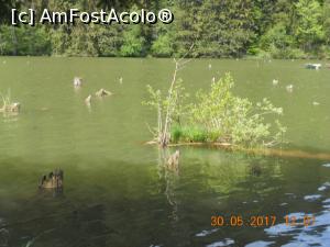 [P23] o altă parte a lacului » foto by zlatna
 - 
<span class="allrVoted glyphicon glyphicon-heart hidden" id="av902681"></span>
<a class="m-l-10 hidden" id="sv902681" onclick="voting_Foto_DelVot(,902681,3314)" role="button">șterge vot <span class="glyphicon glyphicon-remove"></span></a>
<a id="v9902681" class=" c-red"  onclick="voting_Foto_SetVot(902681)" role="button"><span class="glyphicon glyphicon-heart-empty"></span> <b>LIKE</b> = Votează poza</a> <img class="hidden"  id="f902681W9" src="/imagini/loader.gif" border="0" /><span class="AjErrMes hidden" id="e902681ErM"></span>
