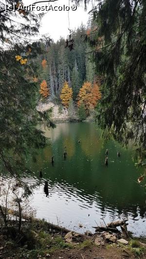 [P01] Lacul in care se oglindesc ochii verzi ai frumoasei fete » foto by DOINITA
 - 
<span class="allrVoted glyphicon glyphicon-heart hidden" id="av1046335"></span>
<a class="m-l-10 hidden" id="sv1046335" onclick="voting_Foto_DelVot(,1046335,3314)" role="button">șterge vot <span class="glyphicon glyphicon-remove"></span></a>
<a id="v91046335" class=" c-red"  onclick="voting_Foto_SetVot(1046335)" role="button"><span class="glyphicon glyphicon-heart-empty"></span> <b>LIKE</b> = Votează poza</a> <img class="hidden"  id="f1046335W9" src="/imagini/loader.gif" border="0" /><span class="AjErrMes hidden" id="e1046335ErM"></span>