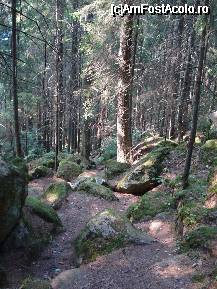 [P08] Acesta este drumul cu marcaj turistic pt. turisti 'neinfricati' asa, ca noi ( vai de talpile noastre...) » foto by ileanaxperta*
 - 
<span class="allrVoted glyphicon glyphicon-heart hidden" id="av26756"></span>
<a class="m-l-10 hidden" id="sv26756" onclick="voting_Foto_DelVot(,26756,3314)" role="button">șterge vot <span class="glyphicon glyphicon-remove"></span></a>
<a id="v926756" class=" c-red"  onclick="voting_Foto_SetVot(26756)" role="button"><span class="glyphicon glyphicon-heart-empty"></span> <b>LIKE</b> = Votează poza</a> <img class="hidden"  id="f26756W9" src="/imagini/loader.gif" border="0" /><span class="AjErrMes hidden" id="e26756ErM"></span>
