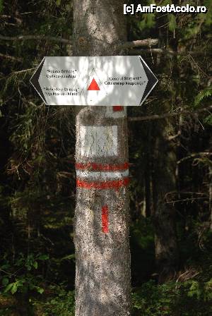[P21] Indicator » foto by Chloe
 - 
<span class="allrVoted glyphicon glyphicon-heart hidden" id="av454180"></span>
<a class="m-l-10 hidden" id="sv454180" onclick="voting_Foto_DelVot(,454180,3314)" role="button">șterge vot <span class="glyphicon glyphicon-remove"></span></a>
<a id="v9454180" class=" c-red"  onclick="voting_Foto_SetVot(454180)" role="button"><span class="glyphicon glyphicon-heart-empty"></span> <b>LIKE</b> = Votează poza</a> <img class="hidden"  id="f454180W9" src="/imagini/loader.gif" border="0" /><span class="AjErrMes hidden" id="e454180ErM"></span>