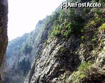 [P18] Oare cum de-au reusit brazii sa creasca din piatra seaca? » foto by dorgo
 - 
<span class="allrVoted glyphicon glyphicon-heart hidden" id="av201728"></span>
<a class="m-l-10 hidden" id="sv201728" onclick="voting_Foto_DelVot(,201728,3314)" role="button">șterge vot <span class="glyphicon glyphicon-remove"></span></a>
<a id="v9201728" class=" c-red"  onclick="voting_Foto_SetVot(201728)" role="button"><span class="glyphicon glyphicon-heart-empty"></span> <b>LIKE</b> = Votează poza</a> <img class="hidden"  id="f201728W9" src="/imagini/loader.gif" border="0" /><span class="AjErrMes hidden" id="e201728ErM"></span>