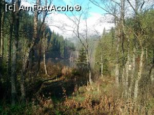 [P06] Lacul Rosu » foto by dorgo
 - 
<span class="allrVoted glyphicon glyphicon-heart hidden" id="av806678"></span>
<a class="m-l-10 hidden" id="sv806678" onclick="voting_Foto_DelVot(,806678,3314)" role="button">șterge vot <span class="glyphicon glyphicon-remove"></span></a>
<a id="v9806678" class=" c-red"  onclick="voting_Foto_SetVot(806678)" role="button"><span class="glyphicon glyphicon-heart-empty"></span> <b>LIKE</b> = Votează poza</a> <img class="hidden"  id="f806678W9" src="/imagini/loader.gif" border="0" /><span class="AjErrMes hidden" id="e806678ErM"></span>