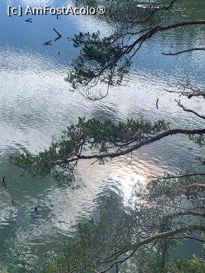 [P04] Lacul Roşu » foto by Michi
 - 
<span class="allrVoted glyphicon glyphicon-heart hidden" id="av1400399"></span>
<a class="m-l-10 hidden" id="sv1400399" onclick="voting_Foto_DelVot(,1400399,3314)" role="button">șterge vot <span class="glyphicon glyphicon-remove"></span></a>
<a id="v91400399" class=" c-red"  onclick="voting_Foto_SetVot(1400399)" role="button"><span class="glyphicon glyphicon-heart-empty"></span> <b>LIKE</b> = Votează poza</a> <img class="hidden"  id="f1400399W9" src="/imagini/loader.gif" border="0" /><span class="AjErrMes hidden" id="e1400399ErM"></span>