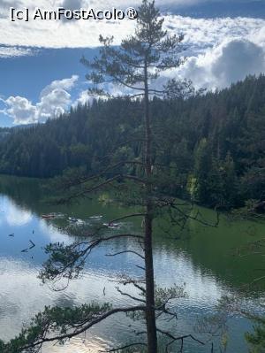 [P05] Lacul Roşu » foto by Michi
 - 
<span class="allrVoted glyphicon glyphicon-heart hidden" id="av1400400"></span>
<a class="m-l-10 hidden" id="sv1400400" onclick="voting_Foto_DelVot(,1400400,3314)" role="button">șterge vot <span class="glyphicon glyphicon-remove"></span></a>
<a id="v91400400" class=" c-red"  onclick="voting_Foto_SetVot(1400400)" role="button"><span class="glyphicon glyphicon-heart-empty"></span> <b>LIKE</b> = Votează poza</a> <img class="hidden"  id="f1400400W9" src="/imagini/loader.gif" border="0" /><span class="AjErrMes hidden" id="e1400400ErM"></span>