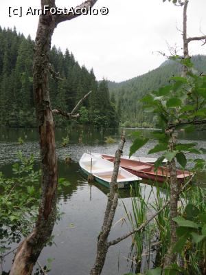 [P15] Peisaj lacustru - Lacul Roșu.  » foto by tata123 🔱
 - 
<span class="allrVoted glyphicon glyphicon-heart hidden" id="av773562"></span>
<a class="m-l-10 hidden" id="sv773562" onclick="voting_Foto_DelVot(,773562,3314)" role="button">șterge vot <span class="glyphicon glyphicon-remove"></span></a>
<a id="v9773562" class=" c-red"  onclick="voting_Foto_SetVot(773562)" role="button"><span class="glyphicon glyphicon-heart-empty"></span> <b>LIKE</b> = Votează poza</a> <img class="hidden"  id="f773562W9" src="/imagini/loader.gif" border="0" /><span class="AjErrMes hidden" id="e773562ErM"></span>