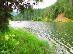 [P21] Roșu la... Lacul Roșu.  » foto by tata123 🔱
 - 
<span class="allrVoted glyphicon glyphicon-heart hidden" id="av773572"></span>
<a class="m-l-10 hidden" id="sv773572" onclick="voting_Foto_DelVot(,773572,3314)" role="button">șterge vot <span class="glyphicon glyphicon-remove"></span></a>
<a id="v9773572" class=" c-red"  onclick="voting_Foto_SetVot(773572)" role="button"><span class="glyphicon glyphicon-heart-empty"></span> <b>LIKE</b> = Votează poza</a> <img class="hidden"  id="f773572W9" src="/imagini/loader.gif" border="0" /><span class="AjErrMes hidden" id="e773572ErM"></span>