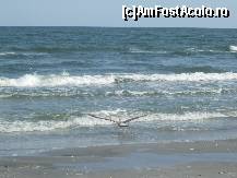 [P03]  -- <small>// FĂRĂ DESCRIERE</small> » foto by catahappy
 - 
<span class="allrVoted glyphicon glyphicon-heart hidden" id="av17747"></span>
<a class="m-l-10 hidden" id="sv17747" onclick="voting_Foto_DelVot(,17747,3329)" role="button">șterge vot <span class="glyphicon glyphicon-remove"></span></a>
<a id="v917747" class=" c-red"  onclick="voting_Foto_SetVot(17747)" role="button"><span class="glyphicon glyphicon-heart-empty"></span> <b>LIKE</b> = Votează poza</a> <img class="hidden"  id="f17747W9" src="/imagini/loader.gif" border="0" /><span class="AjErrMes hidden" id="e17747ErM"></span>