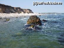 [P04]  -- <small>// FĂRĂ DESCRIERE</small> » foto by catahappy
 - 
<span class="allrVoted glyphicon glyphicon-heart hidden" id="av17748"></span>
<a class="m-l-10 hidden" id="sv17748" onclick="voting_Foto_DelVot(,17748,3329)" role="button">șterge vot <span class="glyphicon glyphicon-remove"></span></a>
<a id="v917748" class=" c-red"  onclick="voting_Foto_SetVot(17748)" role="button"><span class="glyphicon glyphicon-heart-empty"></span> <b>LIKE</b> = Votează poza</a> <img class="hidden"  id="f17748W9" src="/imagini/loader.gif" border="0" /><span class="AjErrMes hidden" id="e17748ErM"></span>