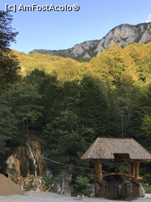 [P02] Imaginea emblematică a copiilor naturii » foto by krisstinna
 - 
<span class="allrVoted glyphicon glyphicon-heart hidden" id="av1195535"></span>
<a class="m-l-10 hidden" id="sv1195535" onclick="voting_Foto_DelVot(,1195535,3336)" role="button">șterge vot <span class="glyphicon glyphicon-remove"></span></a>
<a id="v91195535" class=" c-red"  onclick="voting_Foto_SetVot(1195535)" role="button"><span class="glyphicon glyphicon-heart-empty"></span> <b>LIKE</b> = Votează poza</a> <img class="hidden"  id="f1195535W9" src="/imagini/loader.gif" border="0" /><span class="AjErrMes hidden" id="e1195535ErM"></span>