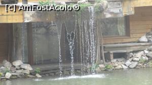 [P17] Cascada mai de-aproape... 
Era fum de la centrala pe lemne.  » foto by bog68
 - 
<span class="allrVoted glyphicon glyphicon-heart hidden" id="av831922"></span>
<a class="m-l-10 hidden" id="sv831922" onclick="voting_Foto_DelVot(,831922,3339)" role="button">șterge vot <span class="glyphicon glyphicon-remove"></span></a>
<a id="v9831922" class=" c-red"  onclick="voting_Foto_SetVot(831922)" role="button"><span class="glyphicon glyphicon-heart-empty"></span> <b>LIKE</b> = Votează poza</a> <img class="hidden"  id="f831922W9" src="/imagini/loader.gif" border="0" /><span class="AjErrMes hidden" id="e831922ErM"></span>