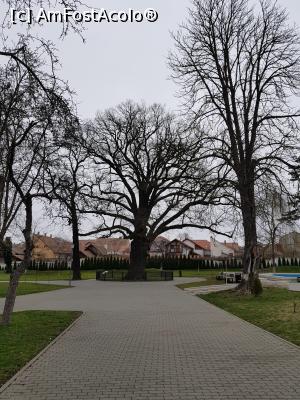 [P05] Intrarea in parcul Avram Iancu si stejarul sau... Am inteles ca in stejarul mai mic din dreapta celui al lui Horea ar fi fost plantat de Nicolae Ceausescu...  » foto by iulian68
 - 
<span class="allrVoted glyphicon glyphicon-heart hidden" id="av951139"></span>
<a class="m-l-10 hidden" id="sv951139" onclick="voting_Foto_DelVot(,951139,3340)" role="button">șterge vot <span class="glyphicon glyphicon-remove"></span></a>
<a id="v9951139" class=" c-red"  onclick="voting_Foto_SetVot(951139)" role="button"><span class="glyphicon glyphicon-heart-empty"></span> <b>LIKE</b> = Votează poza</a> <img class="hidden"  id="f951139W9" src="/imagini/loader.gif" border="0" /><span class="AjErrMes hidden" id="e951139ErM"></span>