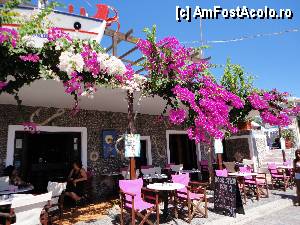 P02 [AUG-2012] Hook Bar... si Bougainvillea ce ne taia rasuflarea. Aici am mancat o salata de fructe cu inghetata asortata de mare exceptie! 