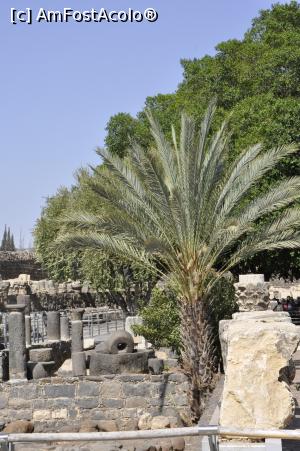 [P04] Ruinele vechiului oras Capernaum - Casa Sfintilor Petru si Andrei sau Casa lui Isus - Israel » foto by Diaura*
 - 
<span class="allrVoted glyphicon glyphicon-heart hidden" id="av1060185"></span>
<a class="m-l-10 hidden" id="sv1060185" onclick="voting_Foto_DelVot(,1060185,3380)" role="button">șterge vot <span class="glyphicon glyphicon-remove"></span></a>
<a id="v91060185" class=" c-red"  onclick="voting_Foto_SetVot(1060185)" role="button"><span class="glyphicon glyphicon-heart-empty"></span> <b>LIKE</b> = Votează poza</a> <img class="hidden"  id="f1060185W9" src="/imagini/loader.gif" border="0" /><span class="AjErrMes hidden" id="e1060185ErM"></span>